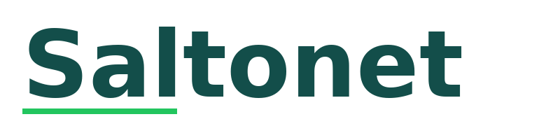 Saltonet logo